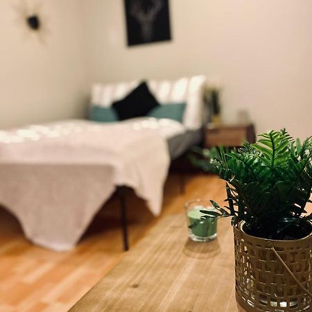 Saniertes Studio - Elisa - Mit Balkon, Wlan, Smart-Tv & Kueche In City-Naehe エアフルト エクステリア 写真