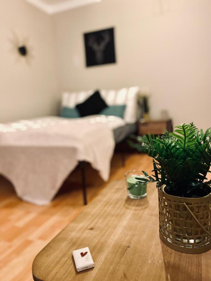 Saniertes Studio - Elisa - Mit Balkon, Wlan, Smart-Tv & Kueche In City-Naehe エアフルト エクステリア 写真