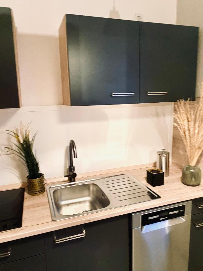 Saniertes Studio - Elisa - Mit Balkon, Wlan, Smart-Tv & Kueche In City-Naehe エアフルト エクステリア 写真
